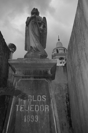 Carlos Tejedor, Recoleta Cemetery