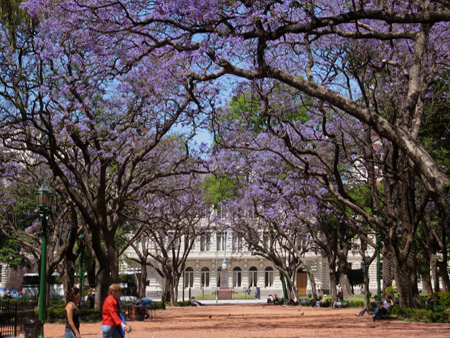 Plaza Rodríguez Peña, Buenos Aires