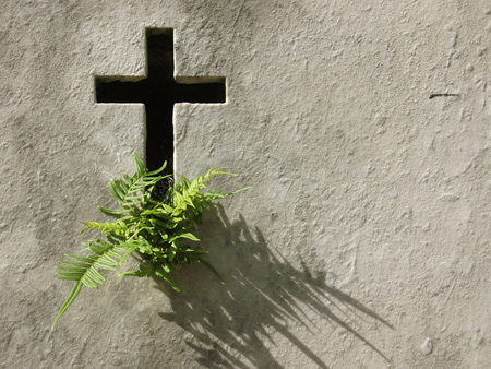 Fern growing from cross, Recoleta Cemetery