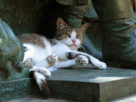 Cats, Recoleta Cemetery