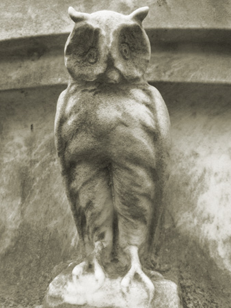 Owl, Recoleta Cemetery