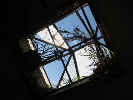 Ventilation, Recoleta Cemetery