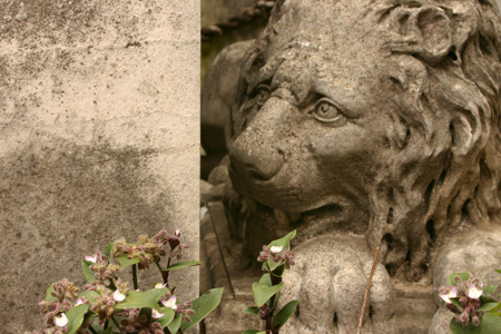 Lion sculpture, Recoleta Cemetery
