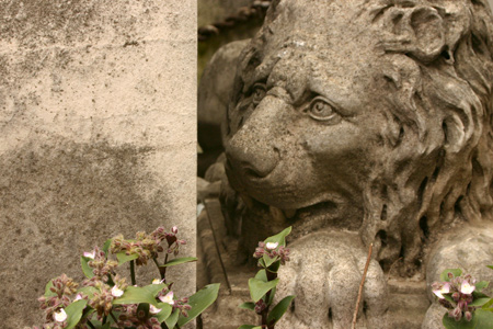 Ignacio de las Carreras, Recoleta Cemetery