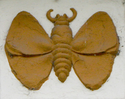 Moth, Recoleta Cemetery