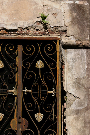 Beautiful decay, Recoleta Cemetery