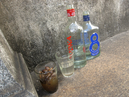 Drunken cockroaches, Recoleta Cemetery