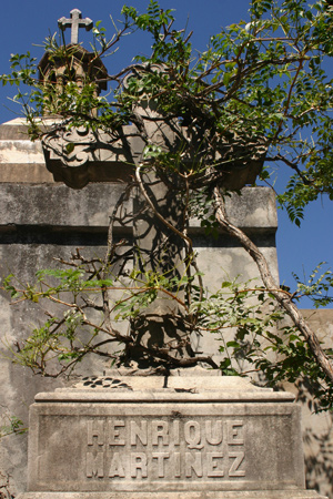 Henrique Martínez, Recoleta Cemetery
