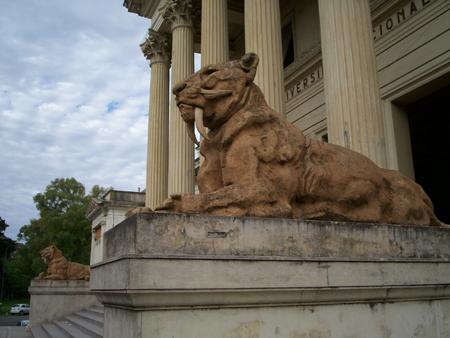 Museo, La Plata